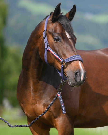 Tommy Hilfiger Yale Set Halter & Lead Rope