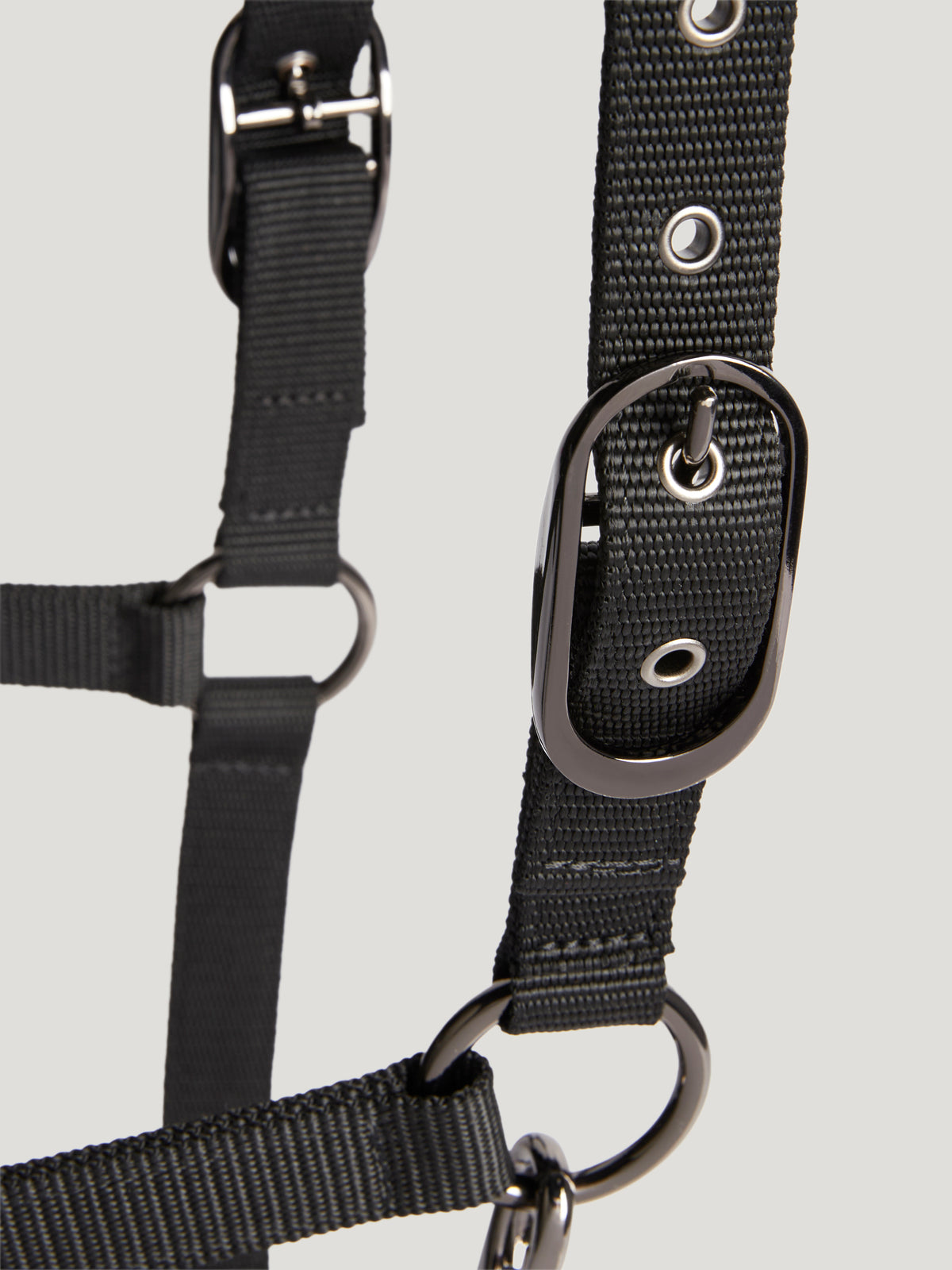 Tommy Hilfiger Yale Shine Set Halter & Lead Rope