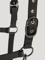Tommy Hilfiger Yale Shine Set Halter & Lead Rope