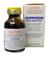 Hippiron
