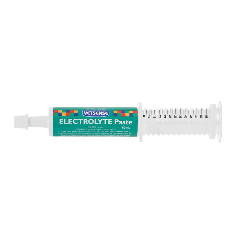 Vetsense Electrolyte Paste