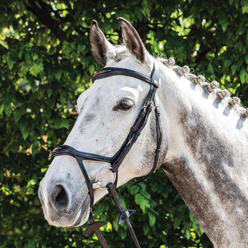 Prestige 3E143 Drop Noseband Bridle