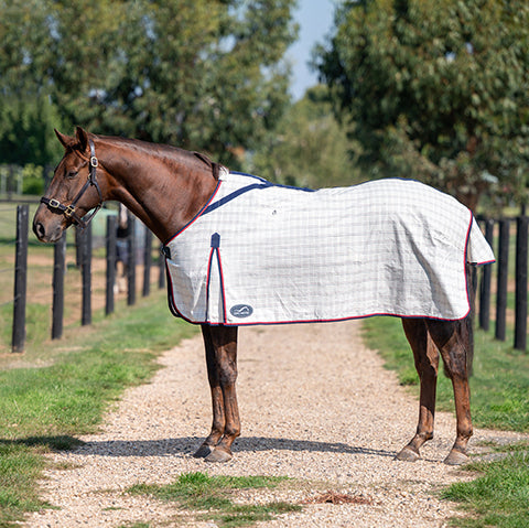 Eurohunter Brisa Rug