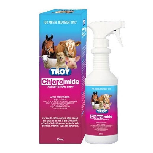 Troy Chloromide 500mL