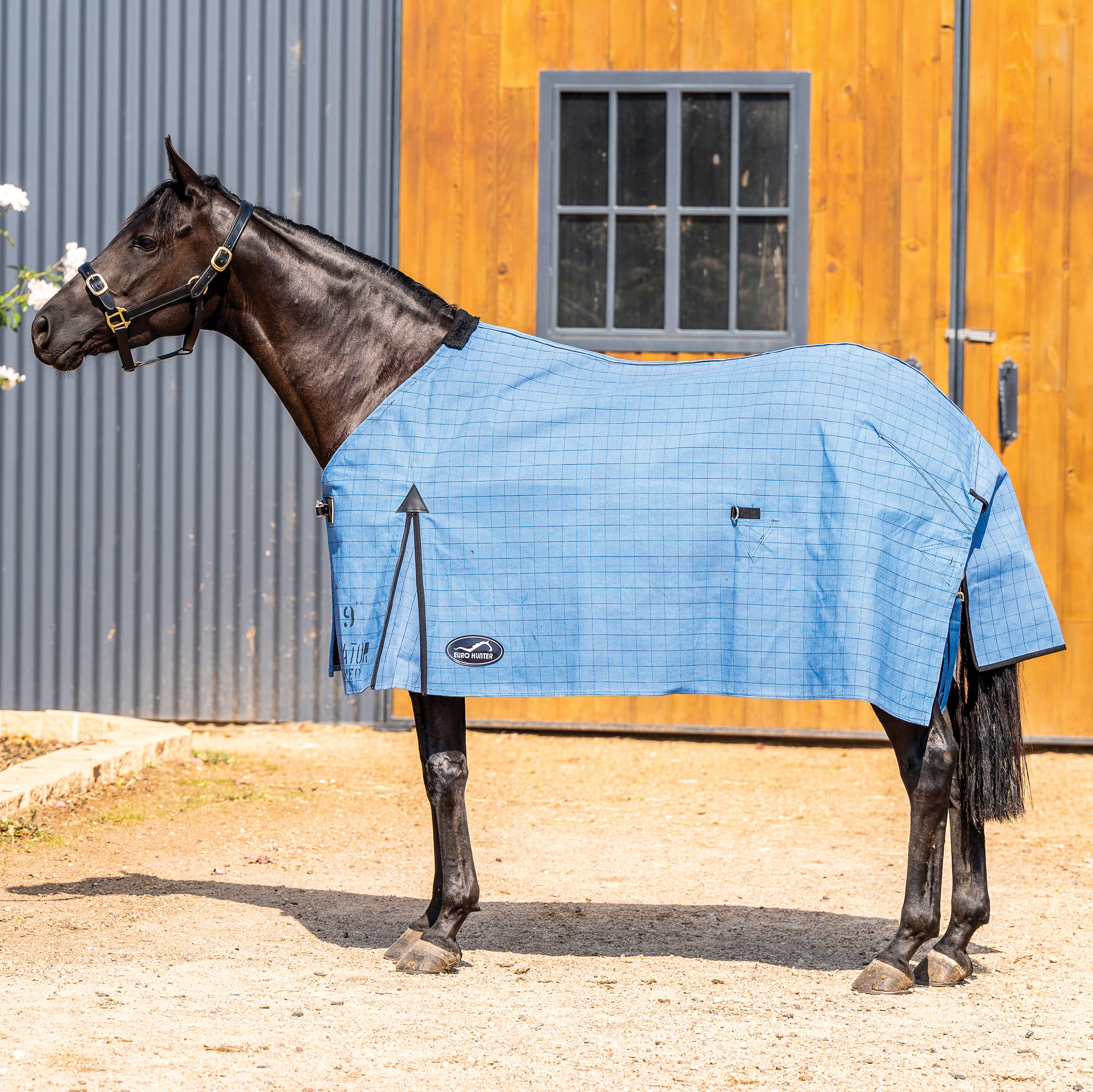 NEW! Blue Dog Unlined Rug main image 0