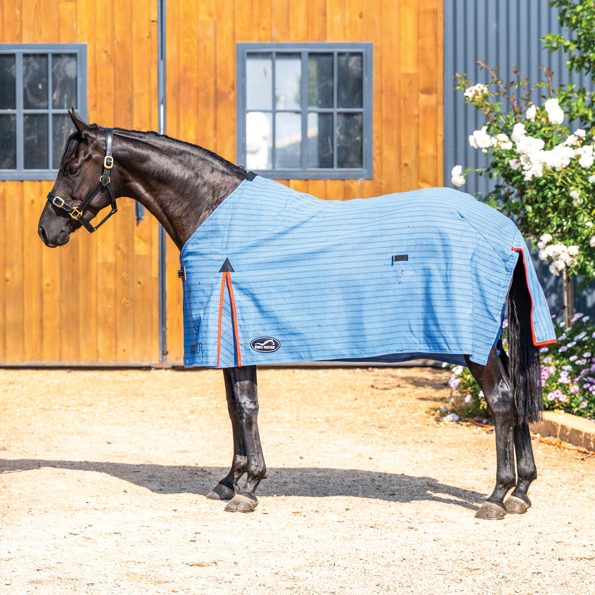 Paddock / Turnout Rugs – Saddleworld