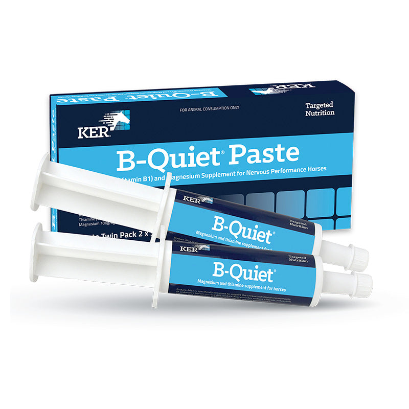 KER B-Quiet Paste 30g Twin Pack