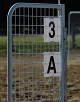 Ferrari Show Jumping Number Set