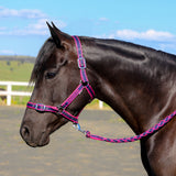 Eurohunter Comfort Halter & Lead