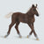 Schleich Black Forest Foal