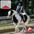 Thorowgood T8 Dressage Low Profile