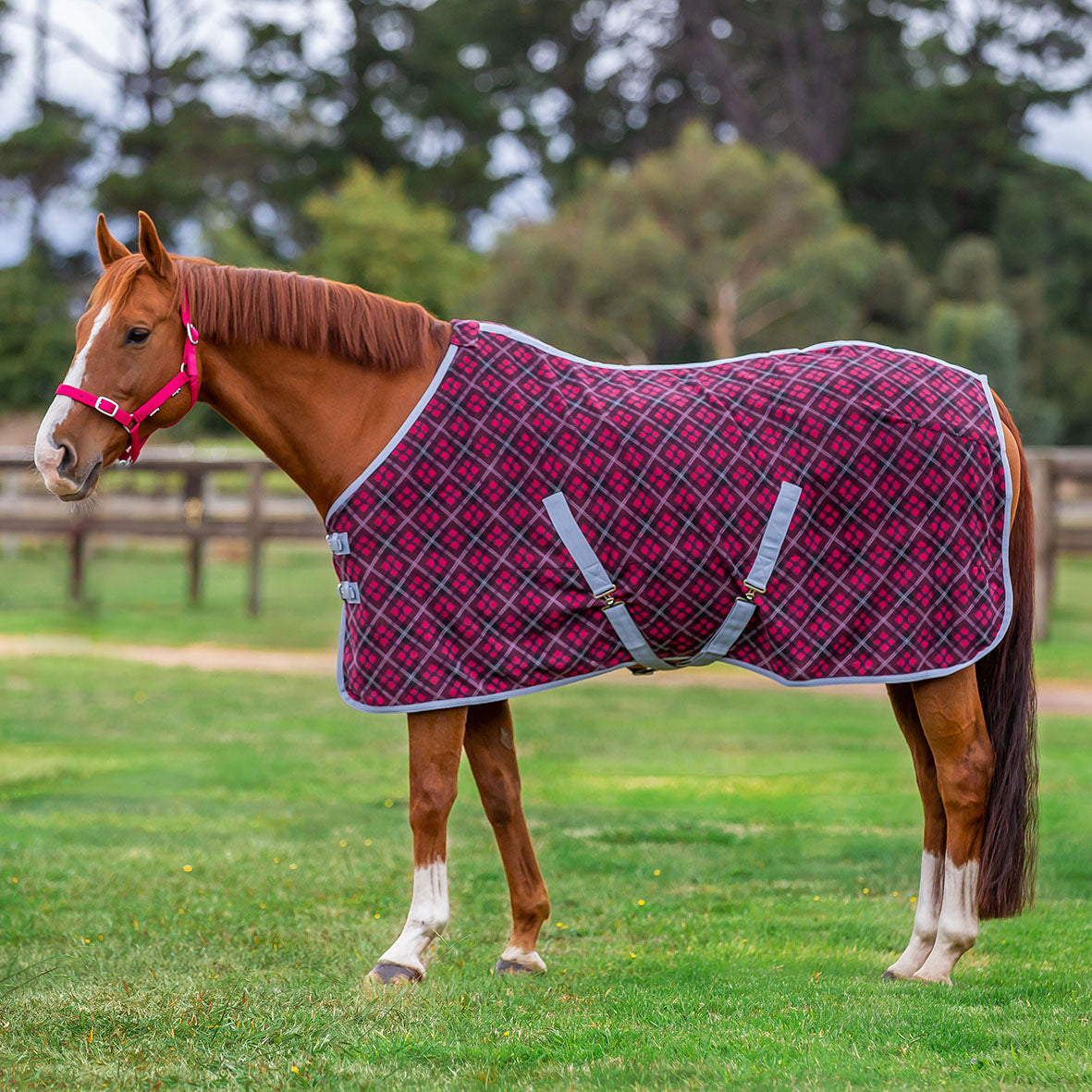 Eurohunter Thredbo II Fleece Rug