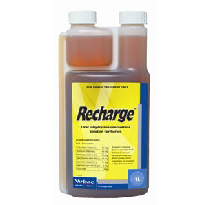 Virbac Recharge Rehydration