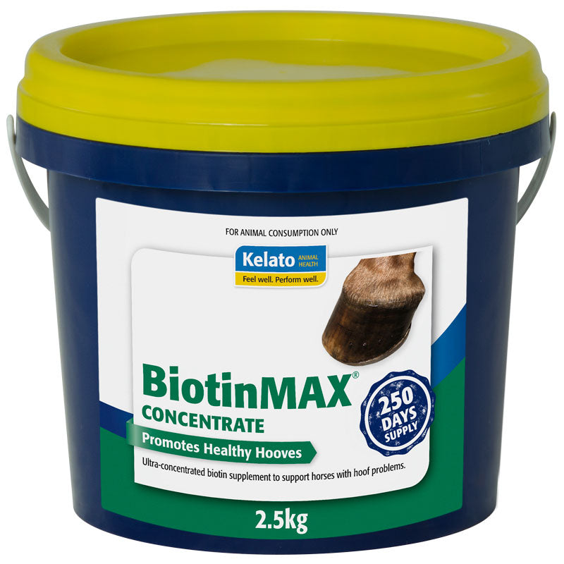 Kelato BiotinMAX Concentrate